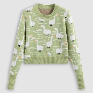 Duck Pattern Round Neckline Crop Sweater